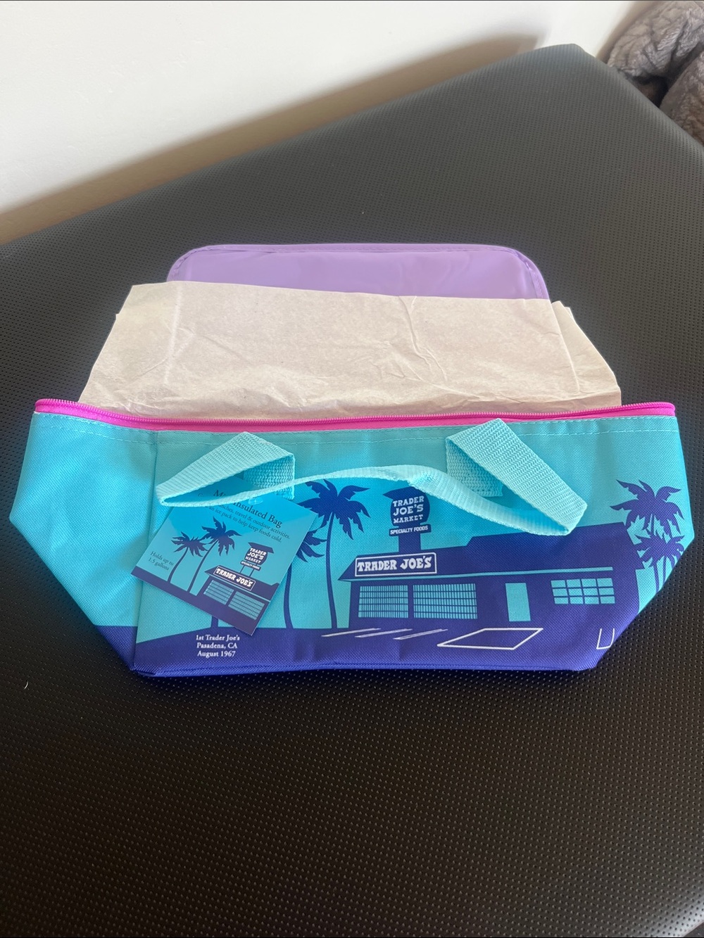 Trader Joe's Blue & Purple Insulated Cooler Tote